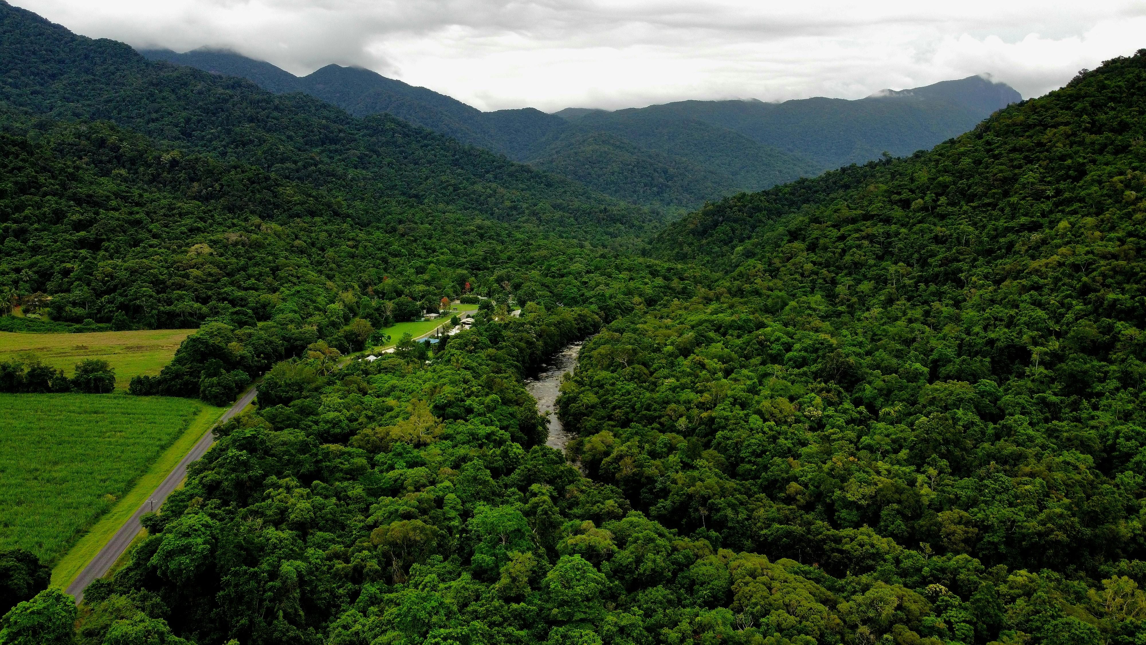 Rainforest Canopy Moisture