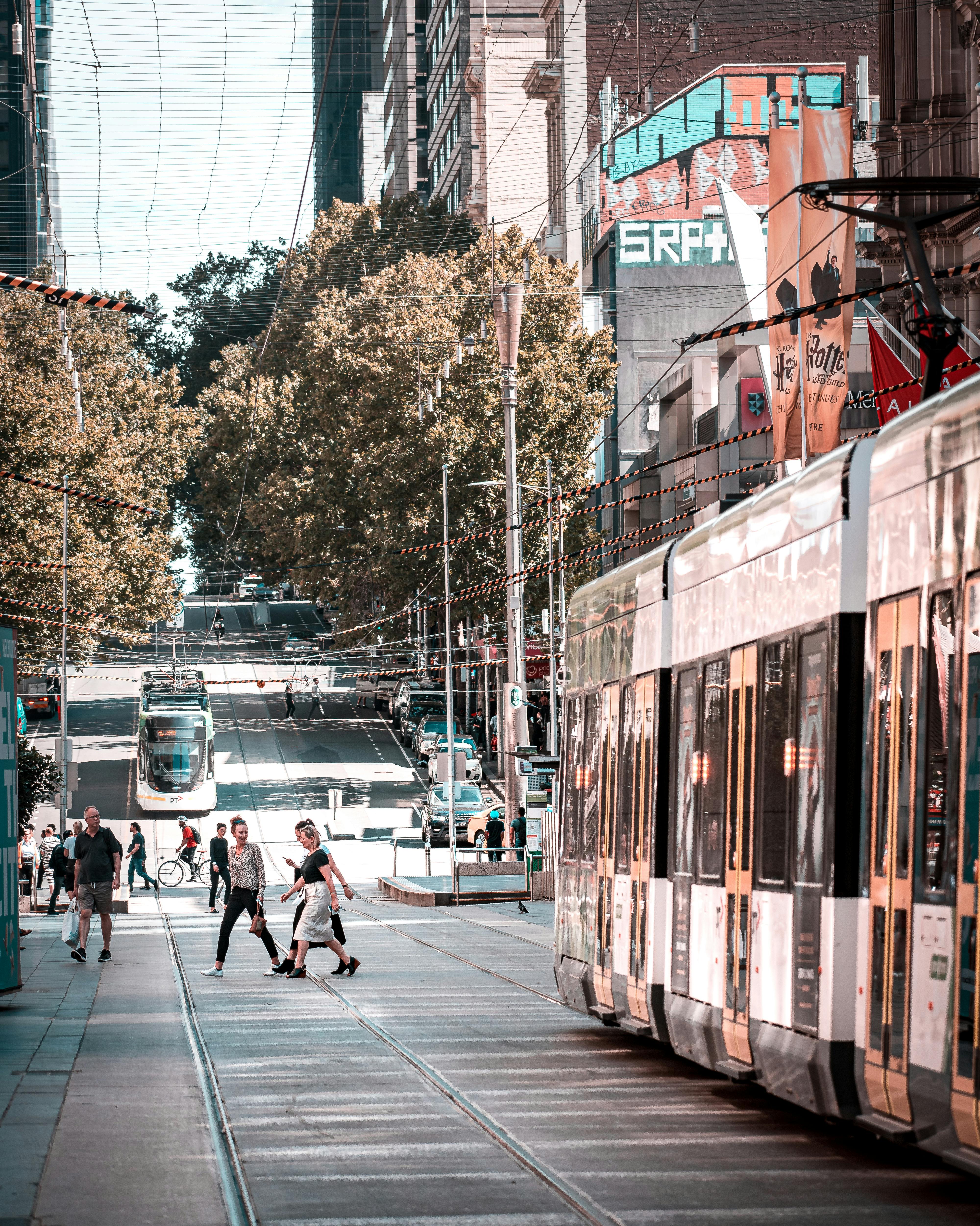 Old Books and Trams