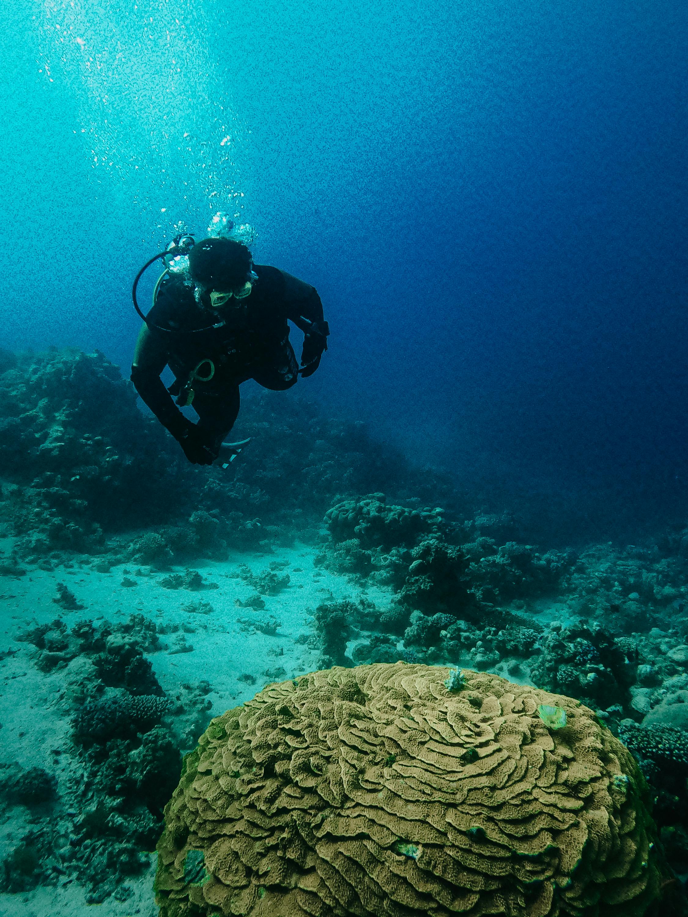 First snorkel on the Red Sea reef