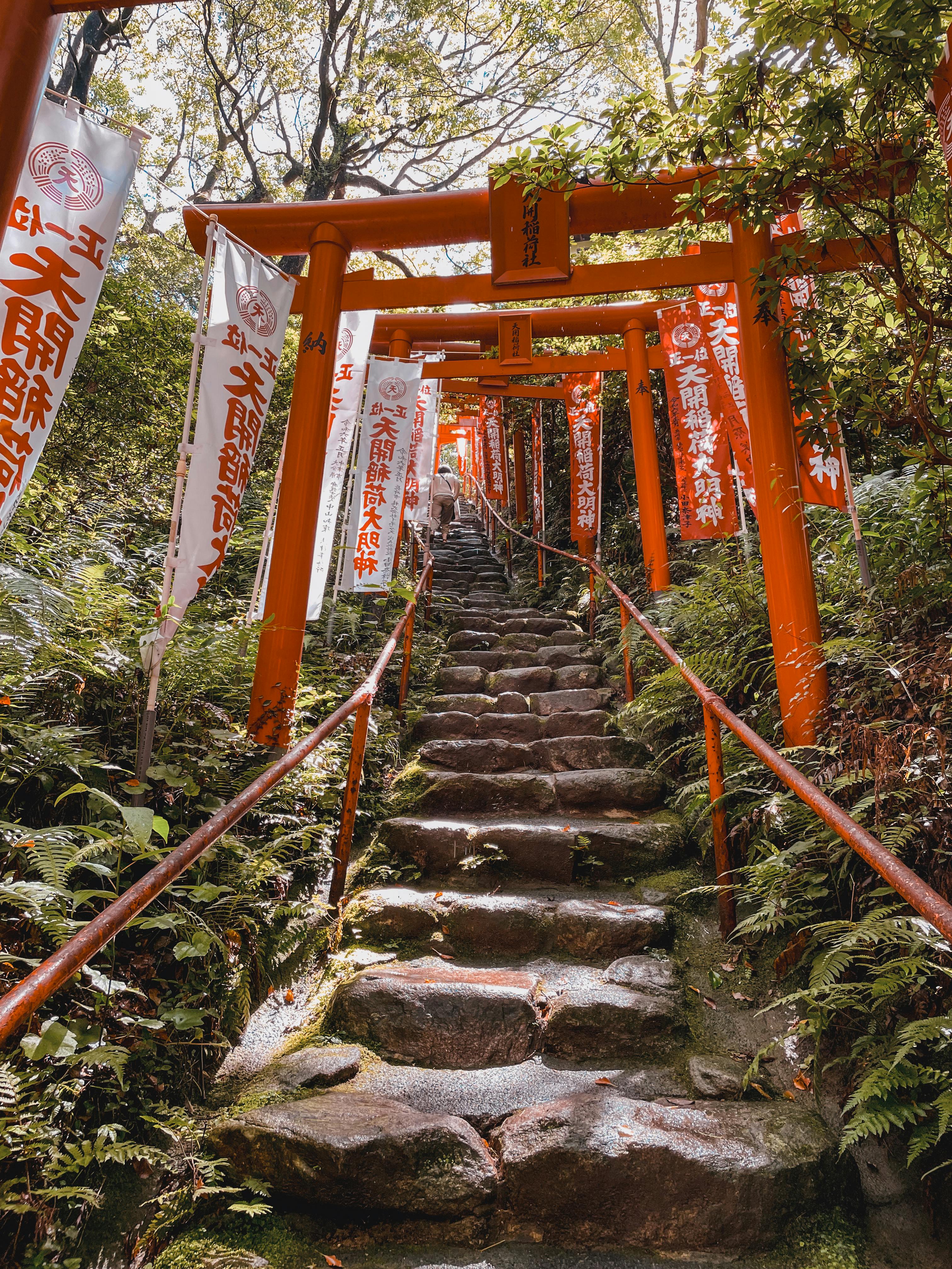 Shrine Steps in the City