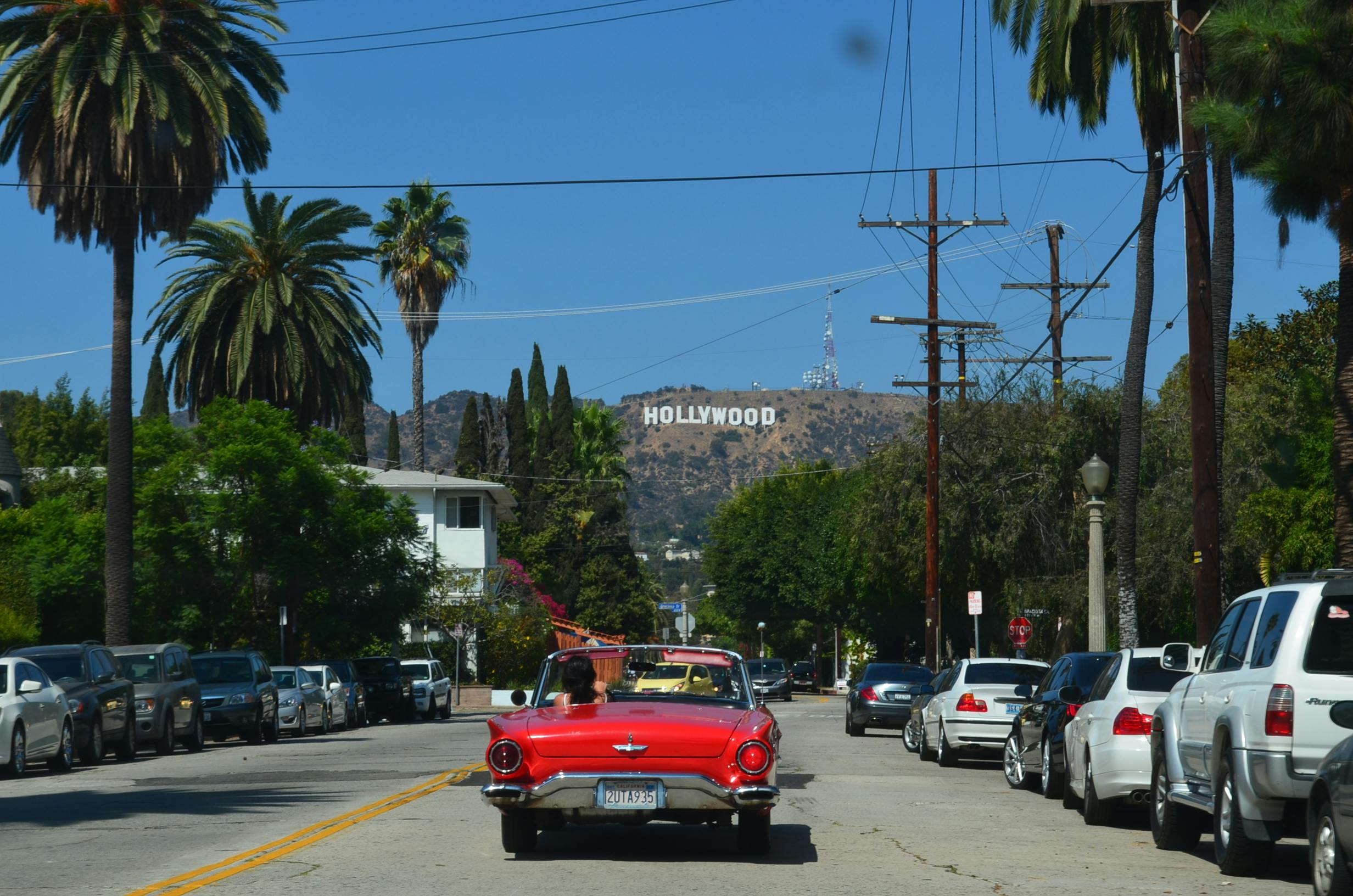 Palm Trees and Side Streets