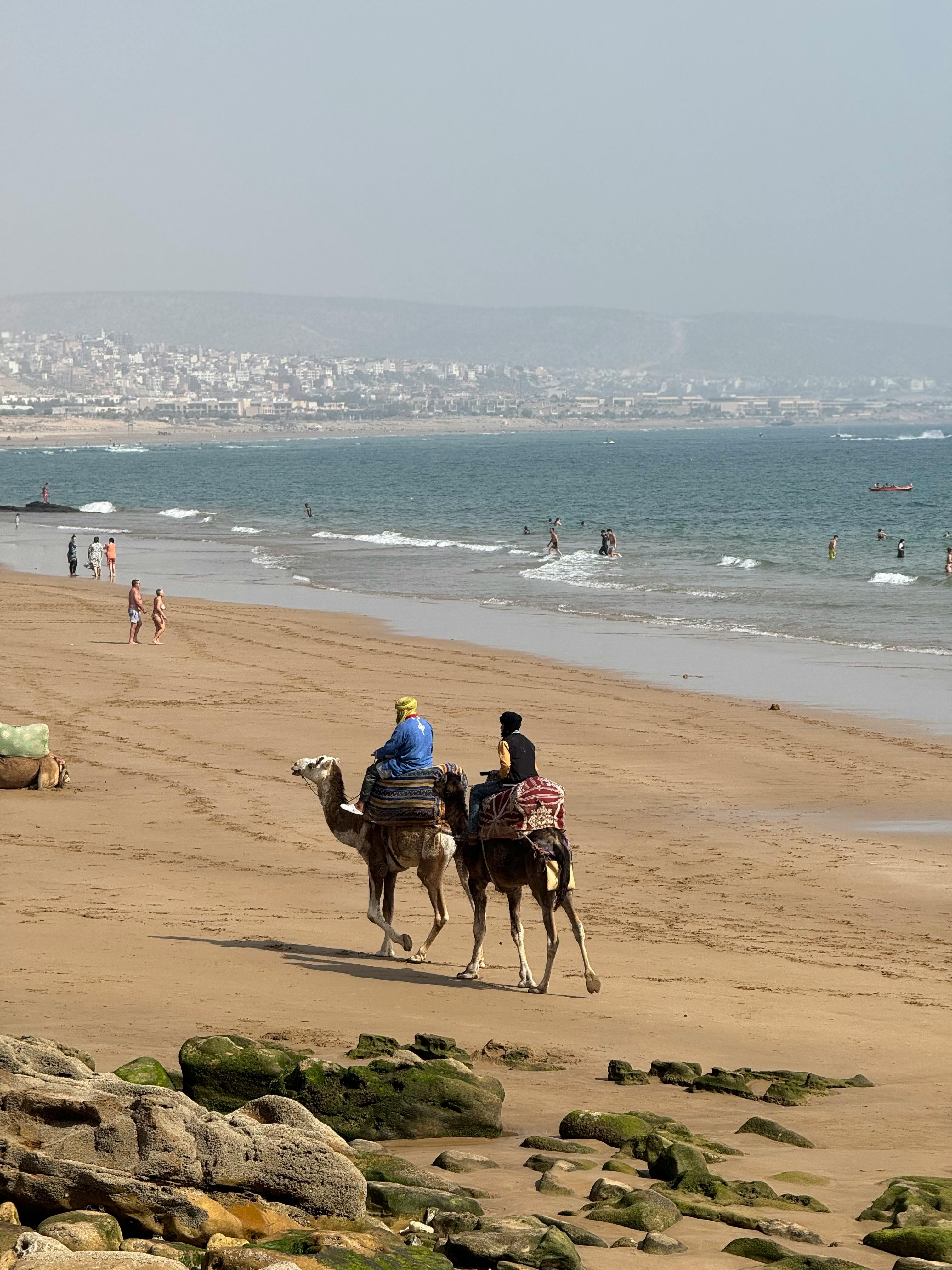 Stroll along the beach promenade