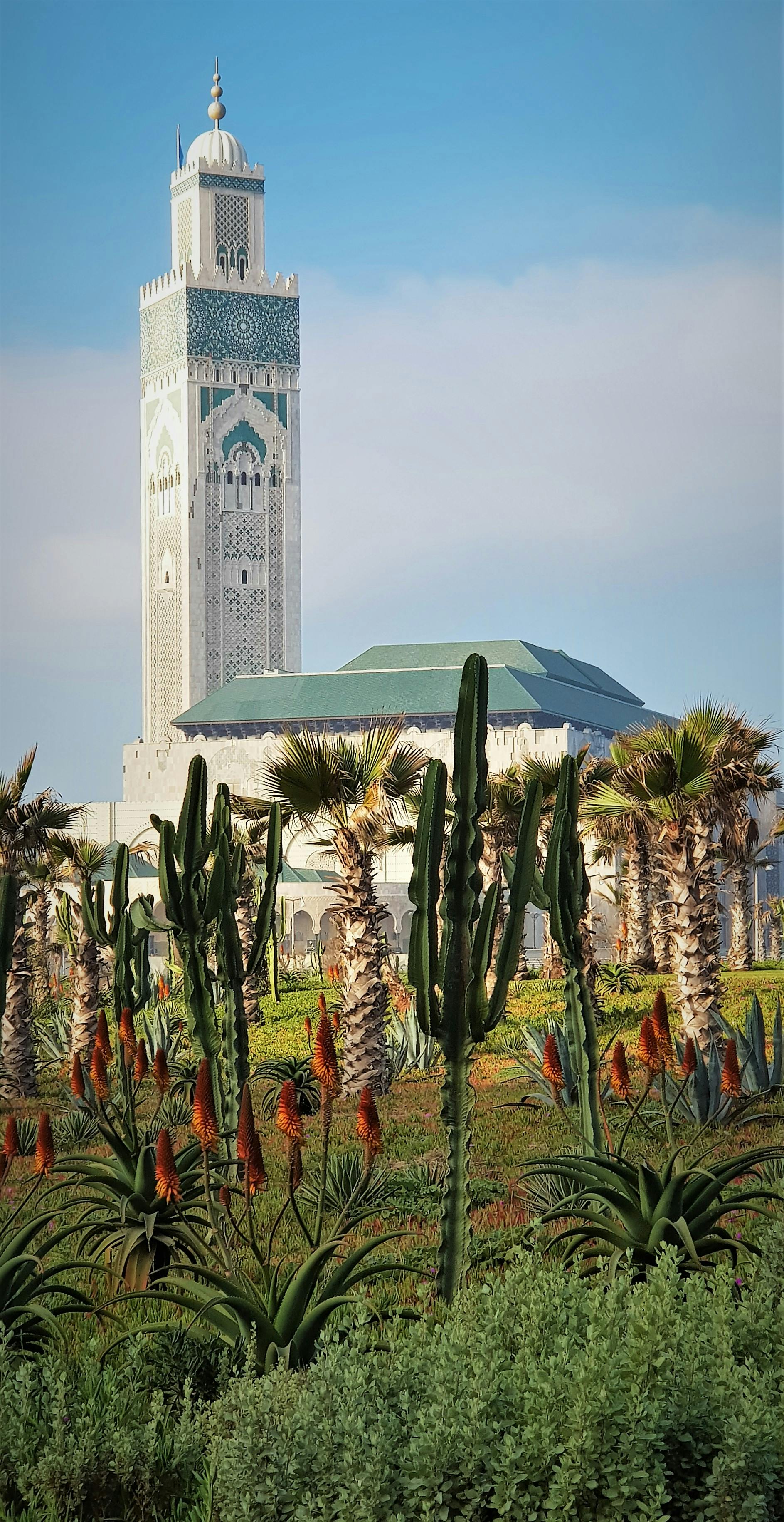 Morning by the Hassan II Mosque