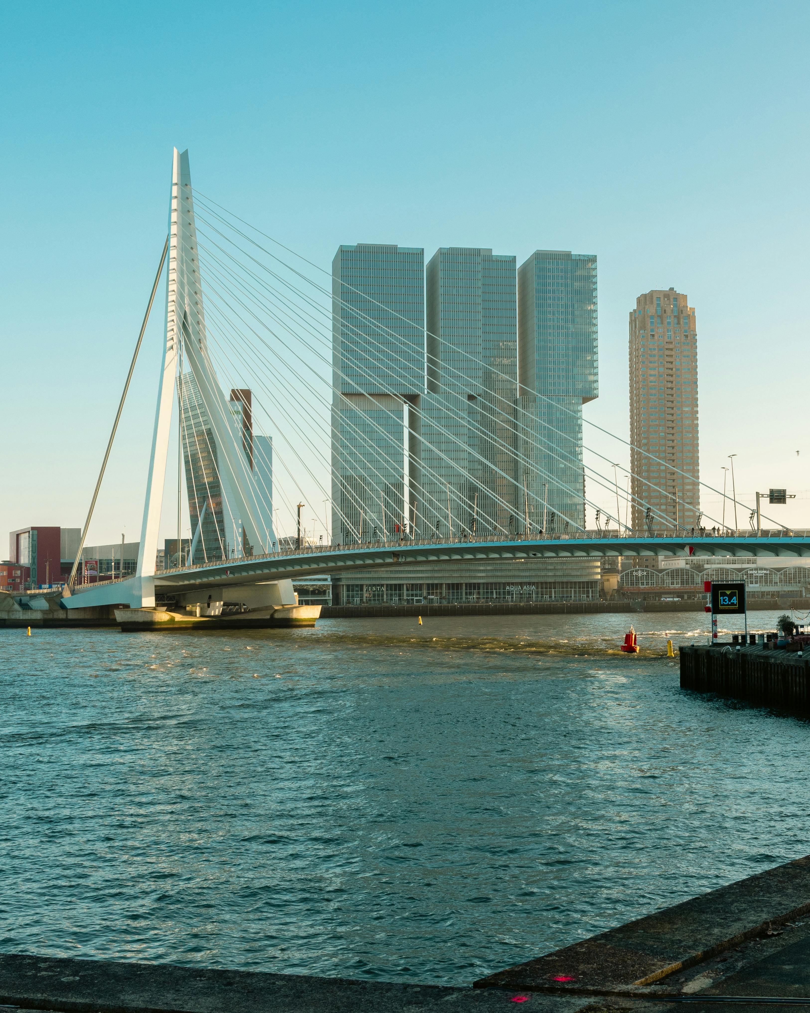 Crossing the Erasmus Bridge on foot