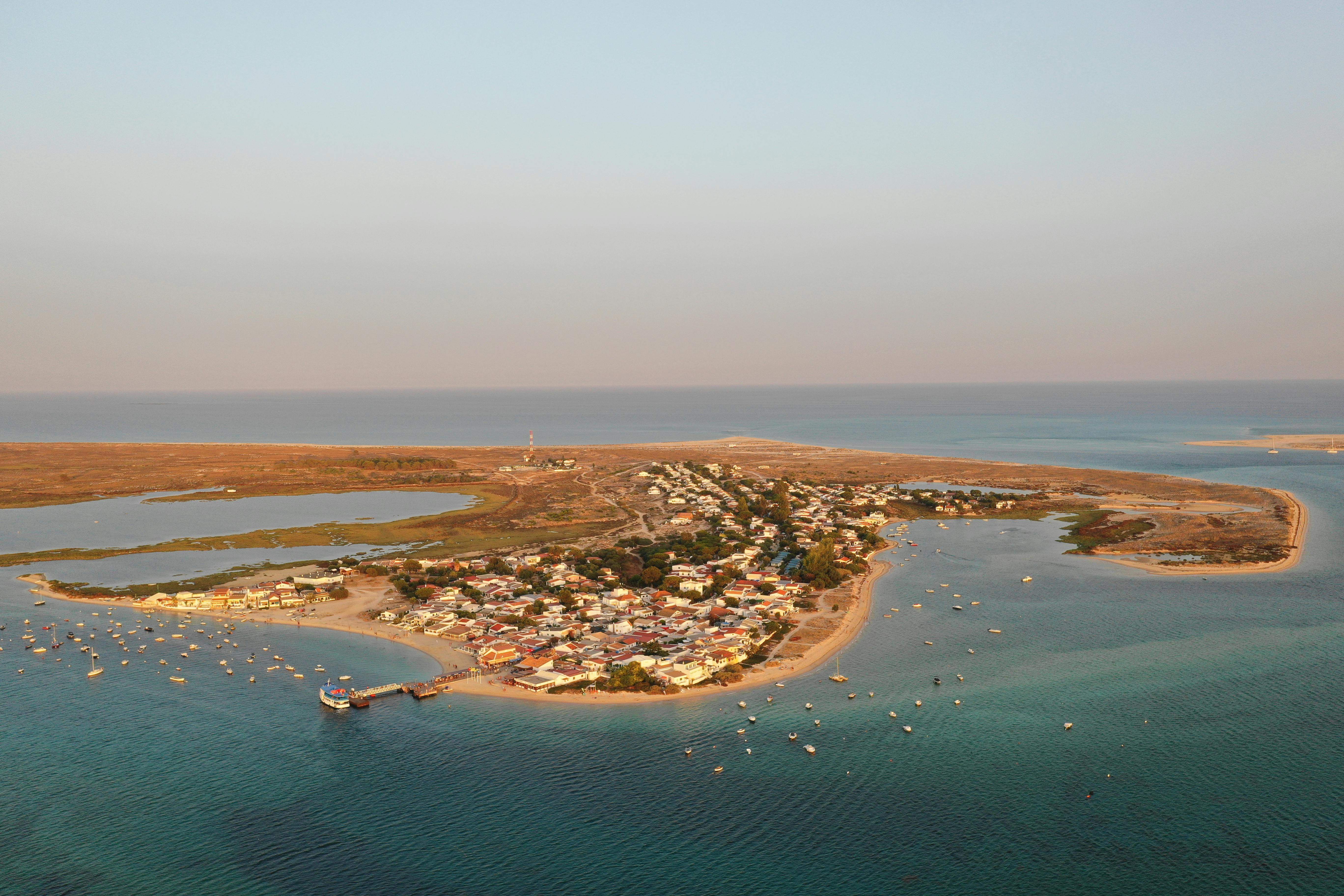 Watching planes and birds over the Ria Formosa