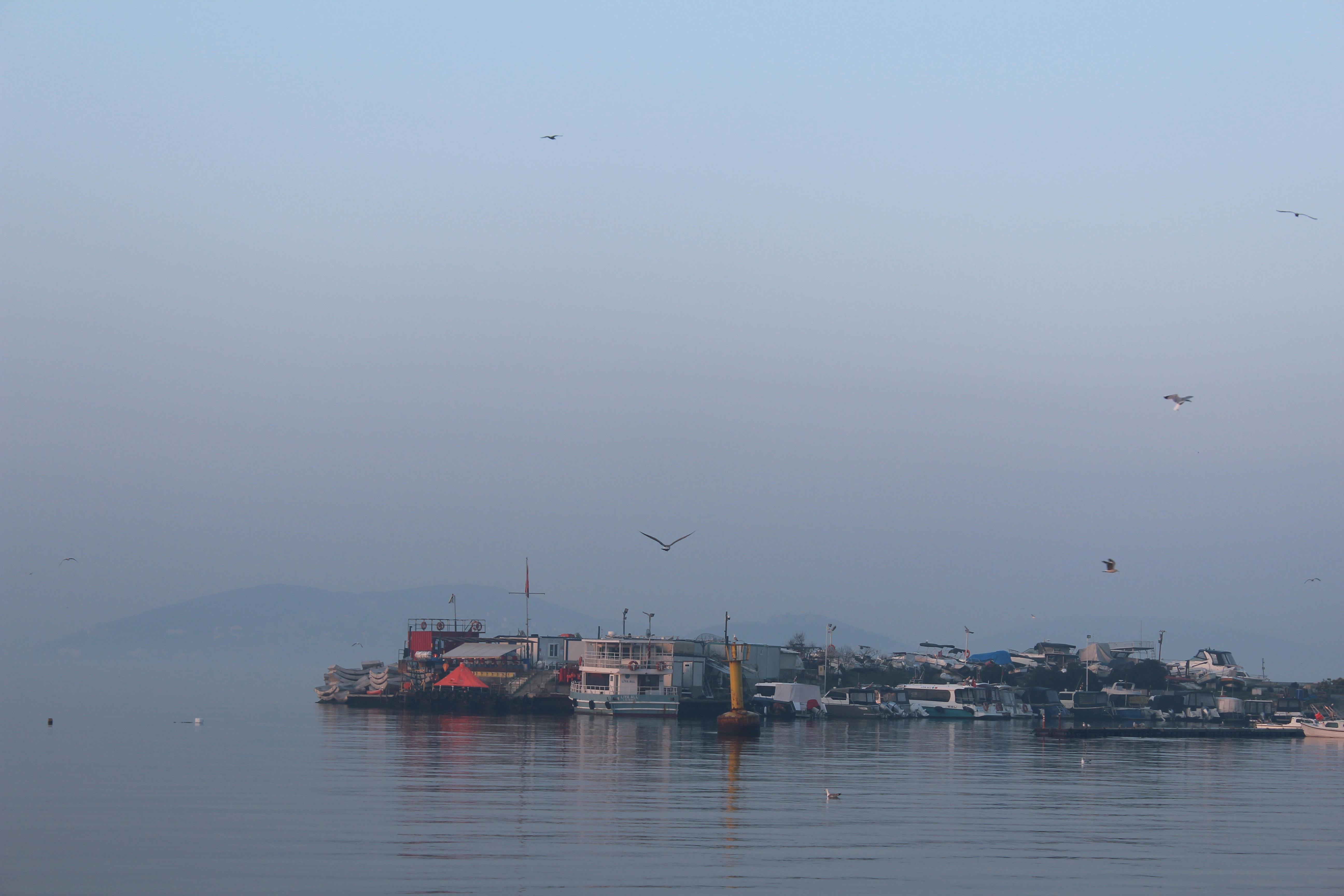 Foggy morning on the waterfront