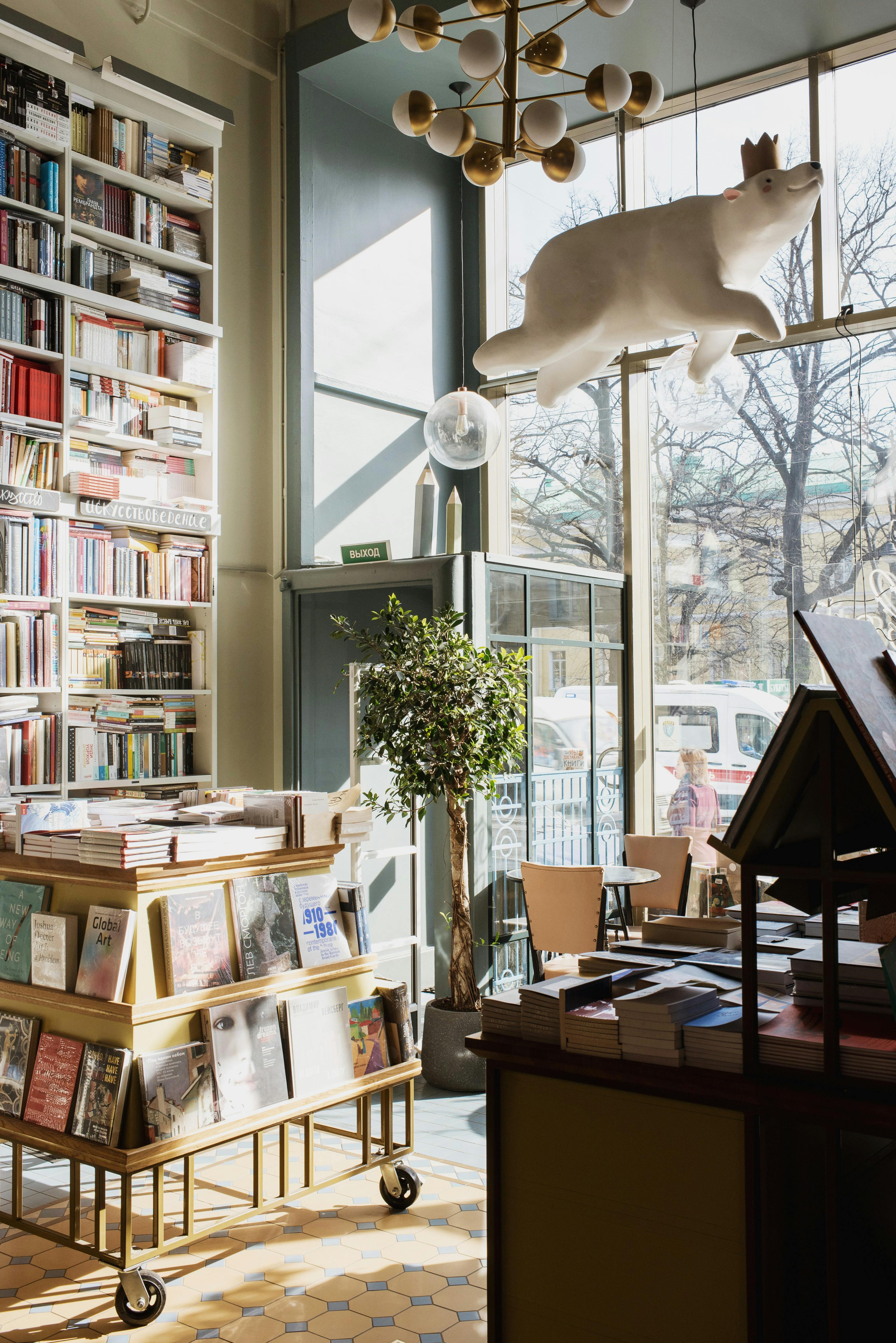 Books and River Light