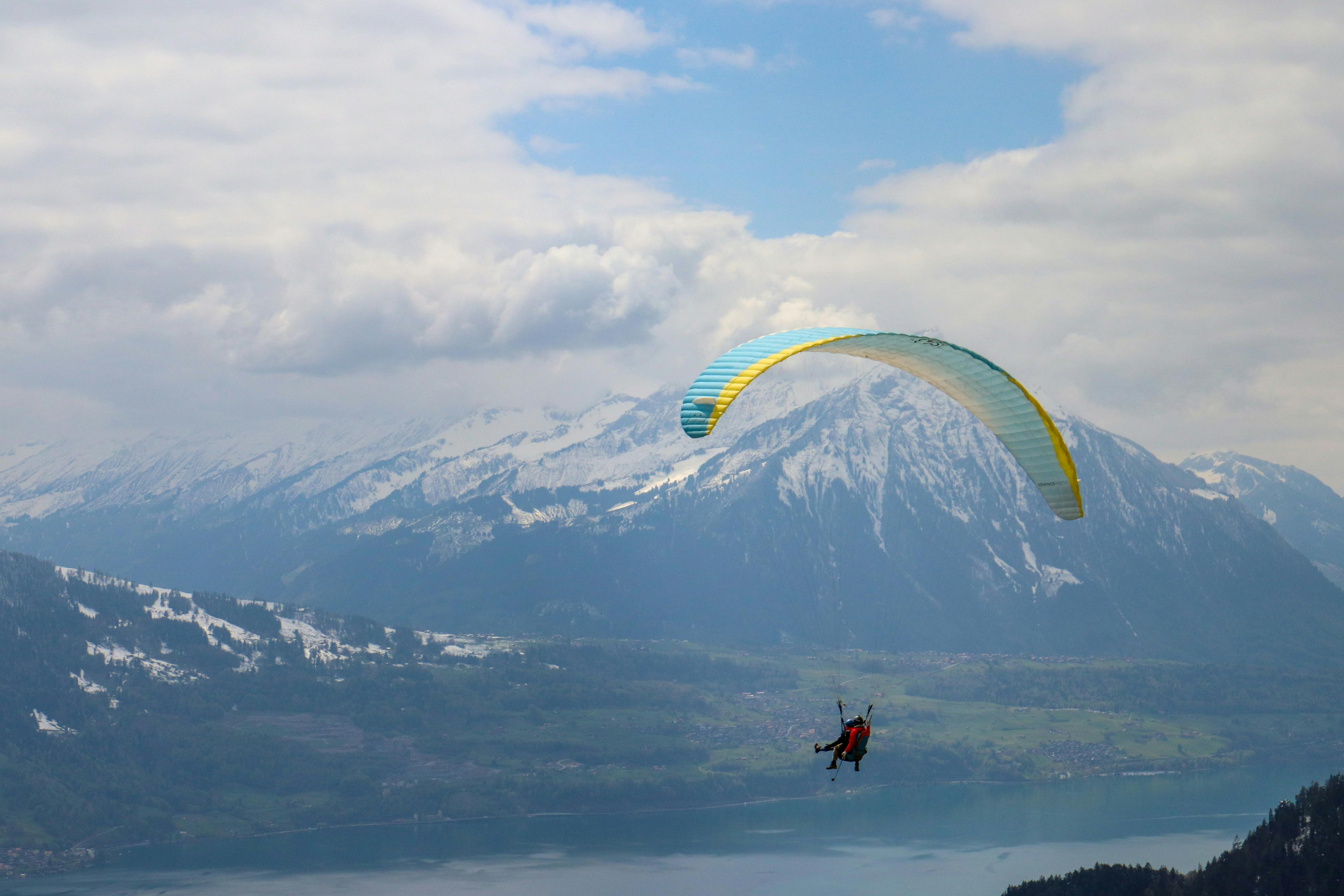 Paragliders over the park