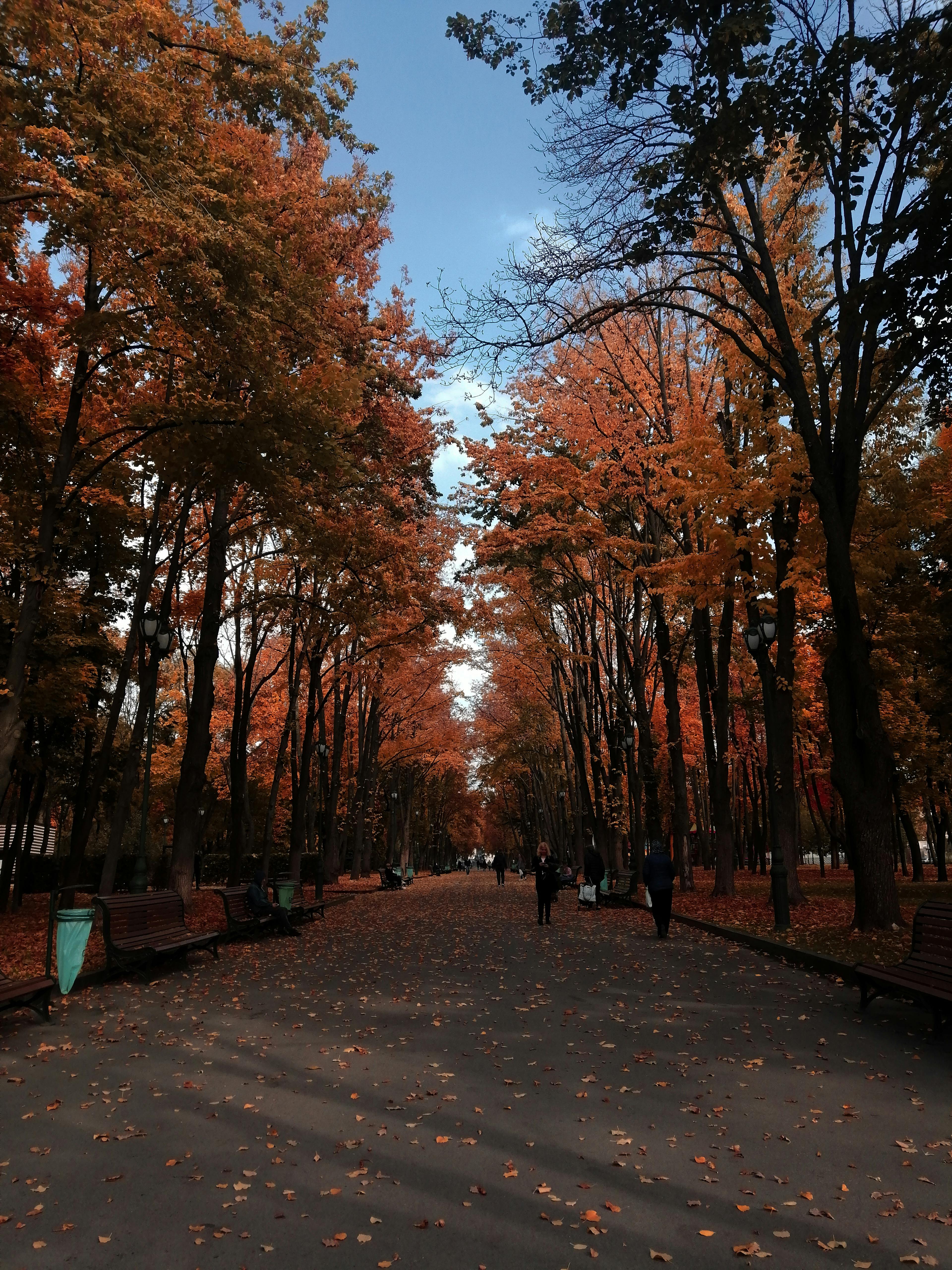 Afternoon in a Kharkiv park