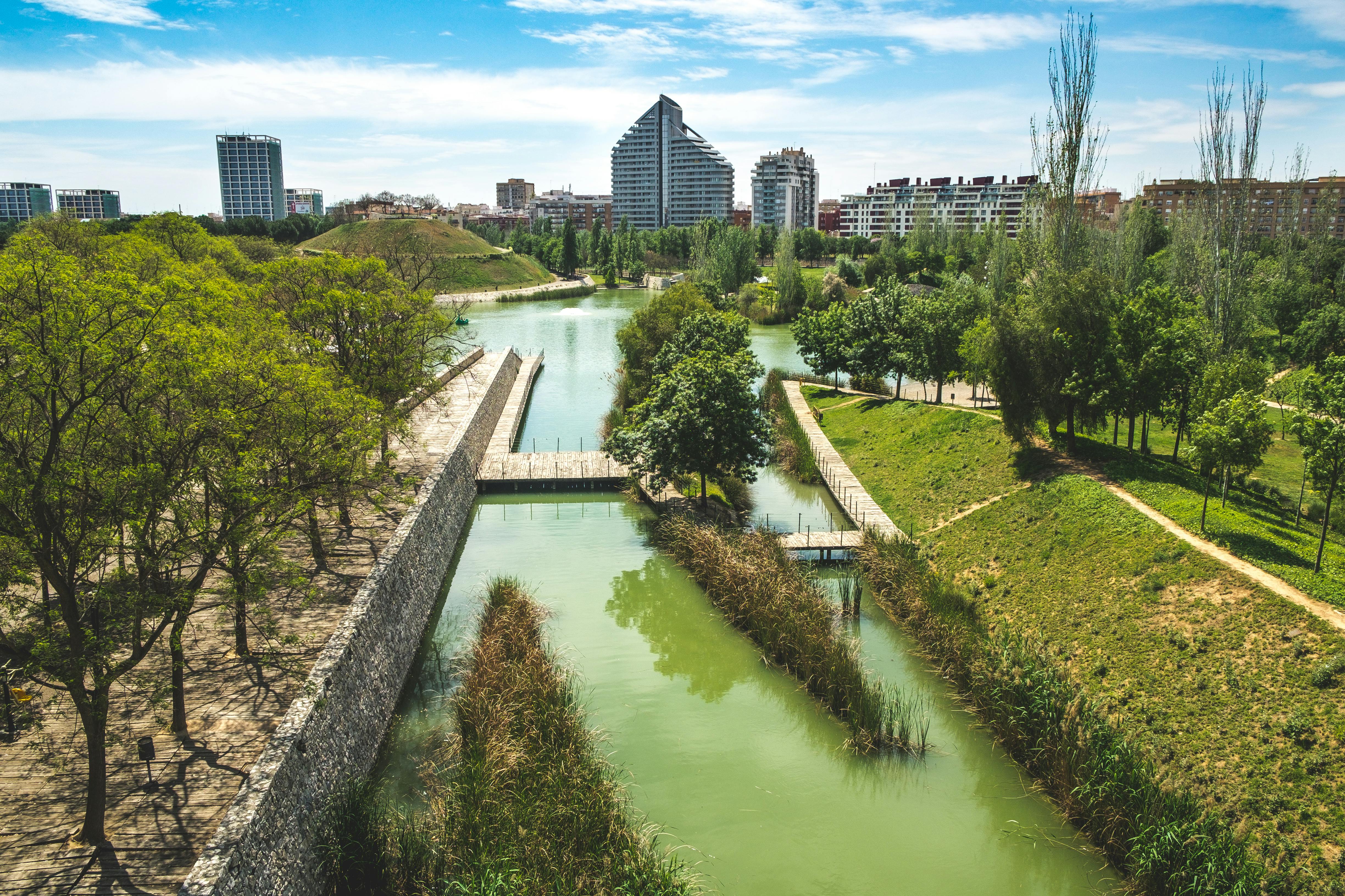 Turia park wake-up